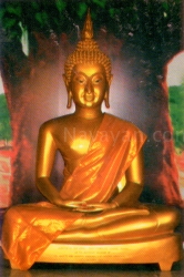 Nalanda Buddhavihar,  Sanaswadi