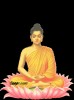 The Path Of Buddha Mission